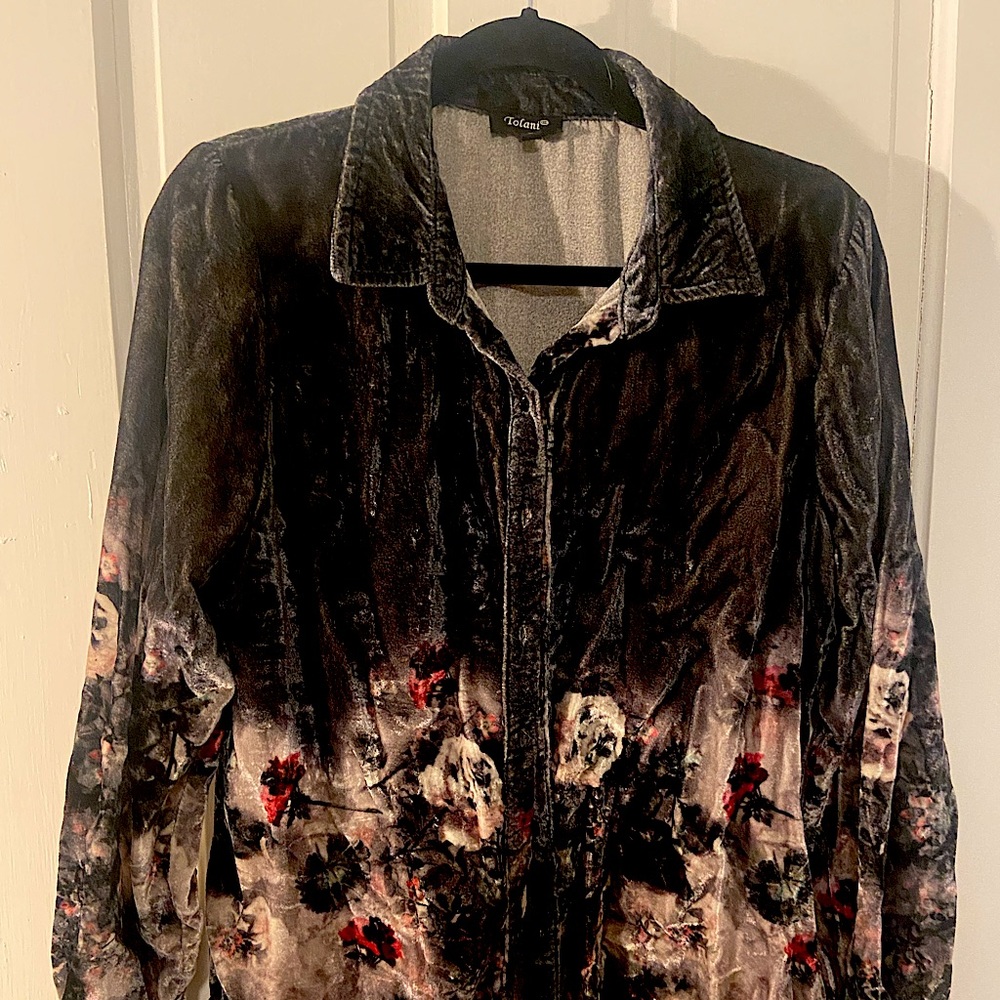 Tolani Hayden Stone Velvet Button Down Top